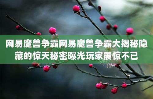 网易魔兽争霸网易魔兽争霸大揭秘隐藏的惊天秘密曝光玩家震惊不已