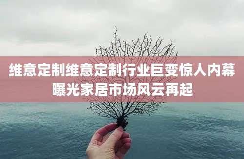 维意定制维意定制行业巨变惊人内幕曝光家居市场风云再起