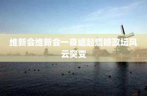 维新会维新会一夜崛起震撼政坛风云突变