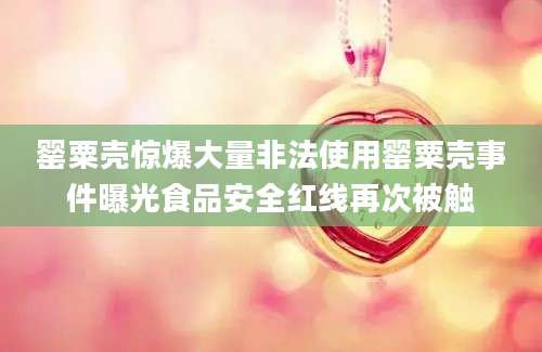 罂粟壳惊爆大量非法使用罂粟壳事件曝光食品安全红线再次被触
