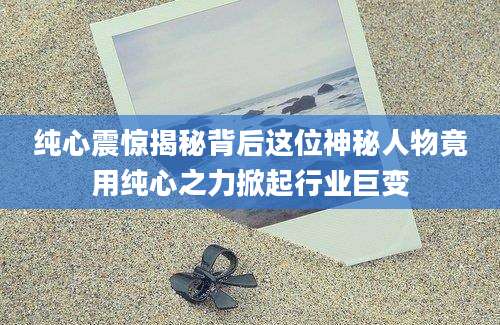 纯心震惊揭秘背后这位神秘人物竟用纯心之力掀起行业巨变