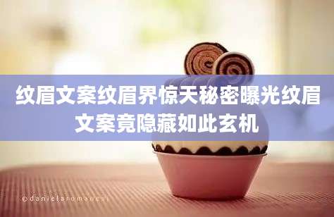 纹眉文案纹眉界惊天秘密曝光纹眉文案竟隐藏如此玄机