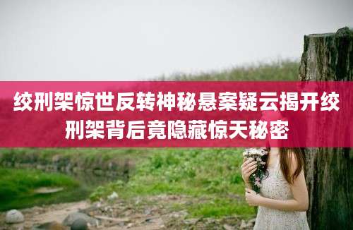 绞刑架惊世反转神秘悬案疑云揭开绞刑架背后竟隐藏惊天秘密