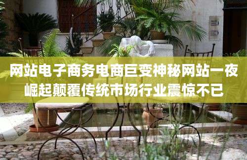 网站电子商务电商巨变神秘网站一夜崛起颠覆传统市场行业震惊不已
