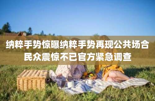 纳粹手势惊曝纳粹手势再现公共场合民众震惊不已官方紧急调查