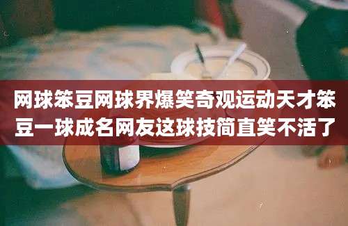 网球笨豆网球界爆笑奇观运动天才笨豆一球成名网友这球技简直笑不活了