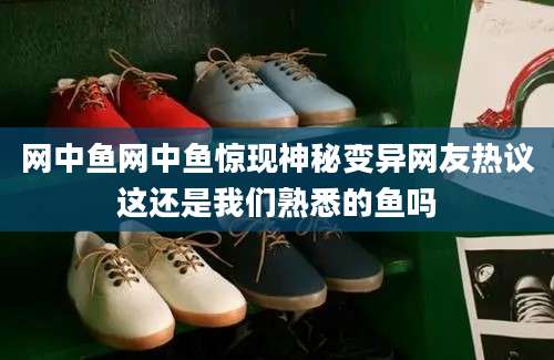 网中鱼网中鱼惊现神秘变异网友热议这还是我们熟悉的鱼吗