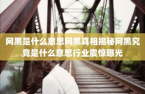 网黑是什么意思网黑真相揭秘网黑究竟是什么意思行业震惊曝光
