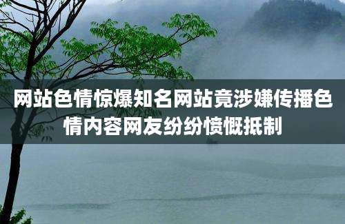 网站色情惊爆知名网站竟涉嫌传播色情内容网友纷纷愤慨抵制