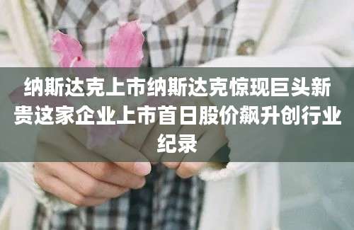 纳斯达克上市纳斯达克惊现巨头新贵这家企业上市首日股价飙升创行业纪录