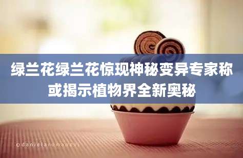 绿兰花绿兰花惊现神秘变异专家称或揭示植物界全新奥秘