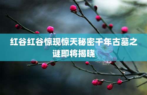 红谷红谷惊现惊天秘密千年古墓之谜即将揭晓