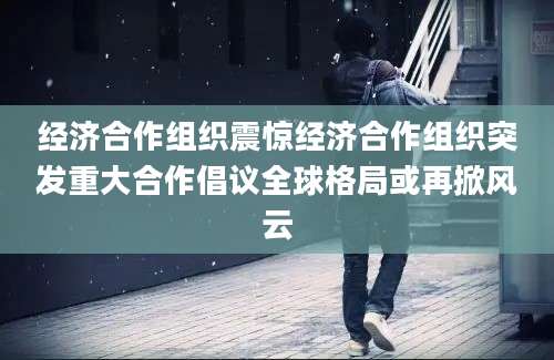 经济合作组织震惊经济合作组织突发重大合作倡议全球格局或再掀风云
