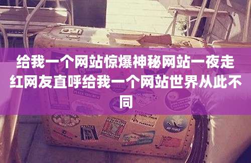 给我一个网站惊爆神秘网站一夜走红网友直呼给我一个网站世界从此不同