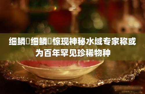 细鳞鯻细鳞鯻惊现神秘水域专家称或为百年罕见珍稀物种