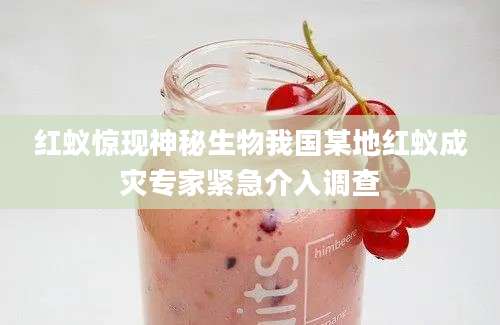 红蚁惊现神秘生物我国某地红蚁成灾专家紧急介入调查