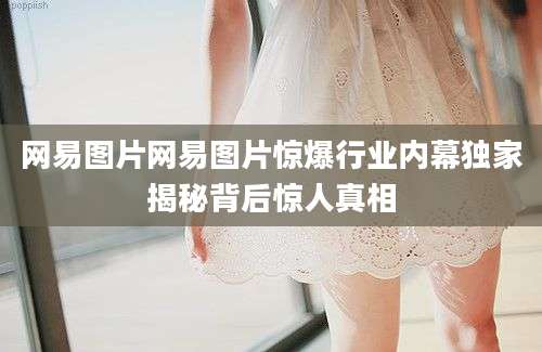 网易图片网易图片惊爆行业内幕独家揭秘背后惊人真相