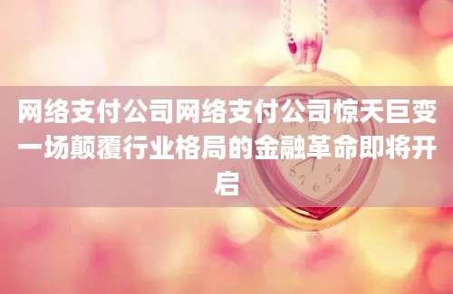 网络支付公司网络支付公司惊天巨变一场颠覆行业格局的金融革命即将开启