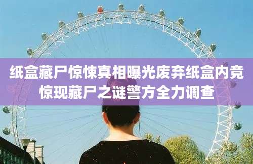 纸盒藏尸惊悚真相曝光废弃纸盒内竟惊现藏尸之谜警方全力调查