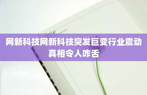网新科技网新科技突发巨变行业震动真相令人咋舌