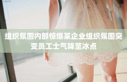 组织氛围内部惊爆某企业组织氛围突变员工士气降至冰点