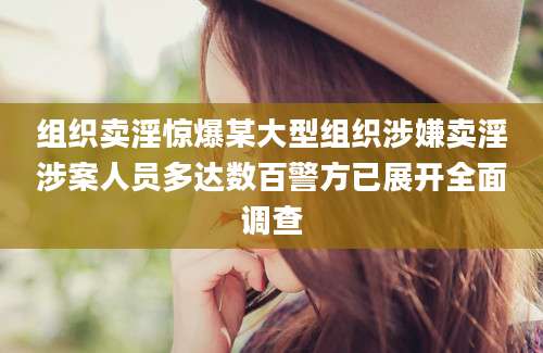 组织卖淫惊爆某大型组织涉嫌卖淫涉案人员多达数百警方已展开全面调查