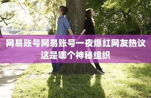 网易账号网易账号一夜爆红网友热议这是哪个神秘组织