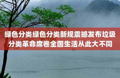 绿色分类绿色分类新规震撼发布垃圾分类革命席卷全国生活从此大不同