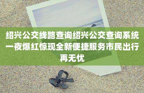 绍兴公交线路查询绍兴公交查询系统一夜爆红惊现全新便捷服务市民出行再无忧