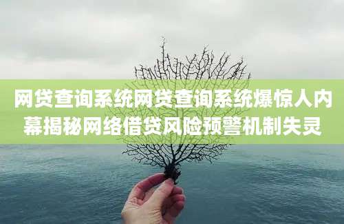 网贷查询系统网贷查询系统爆惊人内幕揭秘网络借贷风险预警机制失灵