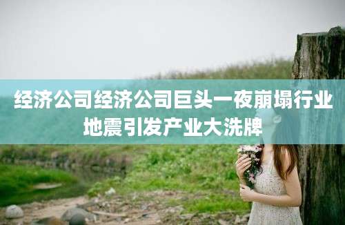 经济公司经济公司巨头一夜崩塌行业地震引发产业大洗牌