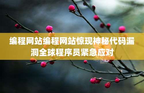 编程网站编程网站惊现神秘代码漏洞全球程序员紧急应对
