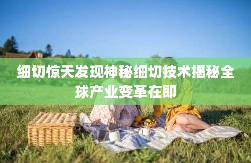 细切惊天发现神秘细切技术揭秘全球产业变革在即