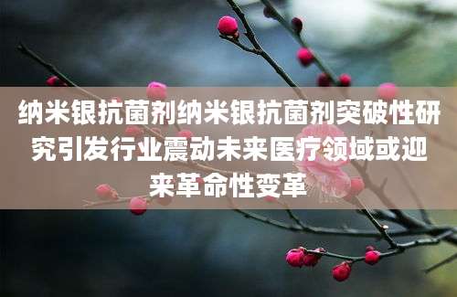 纳米银抗菌剂纳米银抗菌剂突破性研究引发行业震动未来医疗领域或迎来革命性变革