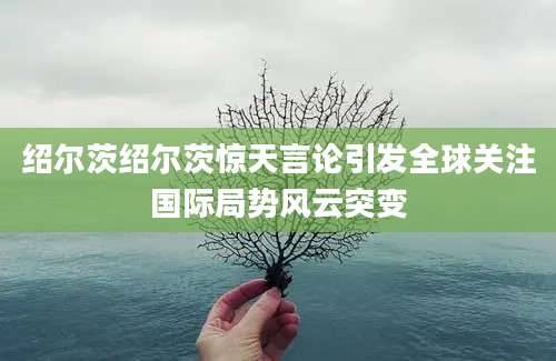 绍尔茨绍尔茨惊天言论引发全球关注国际局势风云突变