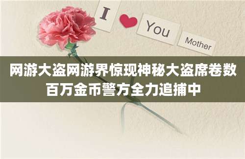 网游大盗网游界惊现神秘大盗席卷数百万金币警方全力追捕中