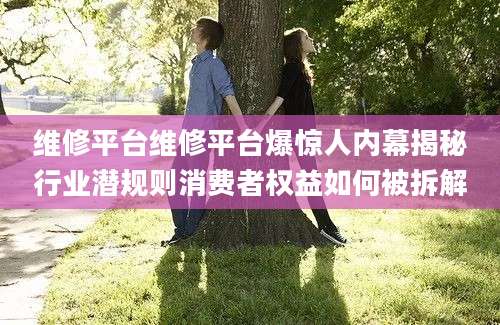 维修平台维修平台爆惊人内幕揭秘行业潜规则消费者权益如何被拆解