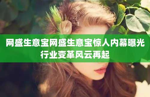 网盛生意宝网盛生意宝惊人内幕曝光行业变革风云再起