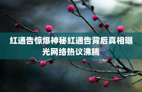 红通告惊爆神秘红通告背后真相曝光网络热议沸腾