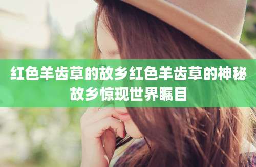 红色羊齿草的故乡红色羊齿草的神秘故乡惊现世界瞩目
