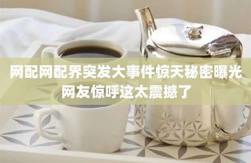 网配网配界突发大事件惊天秘密曝光网友惊呼这太震撼了