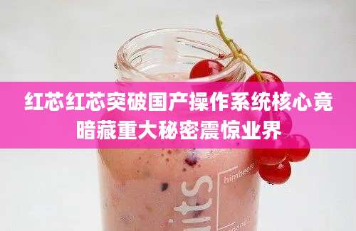 红芯红芯突破国产操作系统核心竟暗藏重大秘密震惊业界