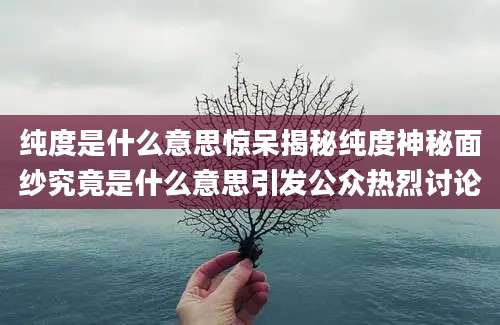 纯度是什么意思惊呆揭秘纯度神秘面纱究竟是什么意思引发公众热烈讨论
