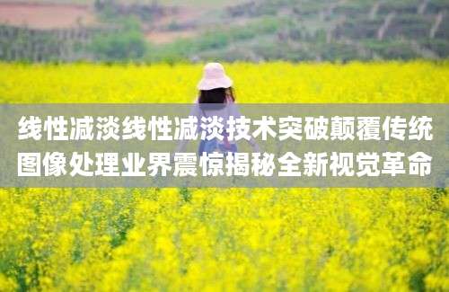 线性减淡线性减淡技术突破颠覆传统图像处理业界震惊揭秘全新视觉革命