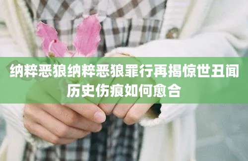 纳粹恶狼纳粹恶狼罪行再揭惊世丑闻历史伤痕如何愈合
