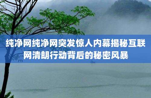 纯净网纯净网突发惊人内幕揭秘互联网清朗行动背后的秘密风暴
