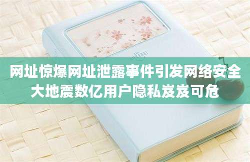 网址惊爆网址泄露事件引发网络安全大地震数亿用户隐私岌岌可危