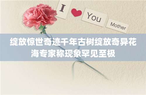 绽放惊世奇迹千年古树绽放奇异花海专家称现象罕见至极