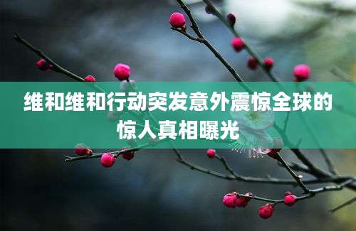 维和维和行动突发意外震惊全球的惊人真相曝光