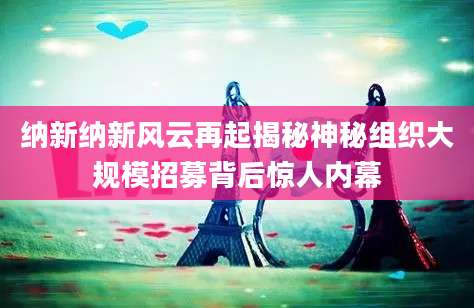 纳新纳新风云再起揭秘神秘组织大规模招募背后惊人内幕
